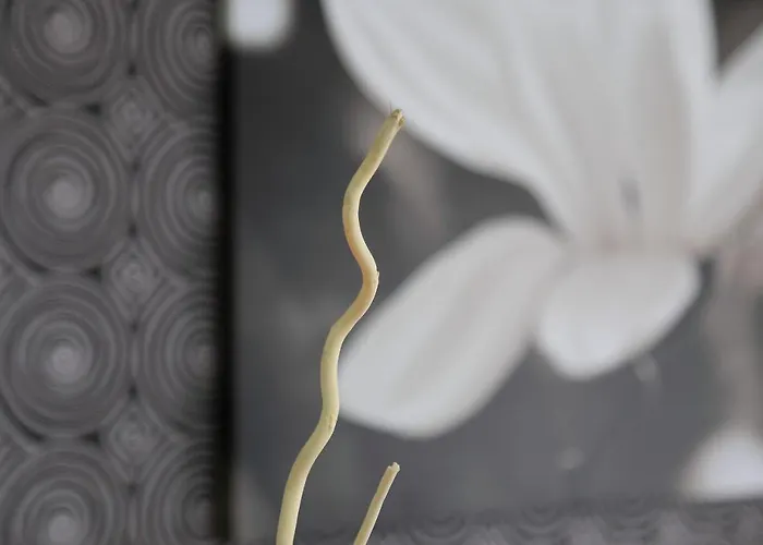 Rainbow 3 Club Sunny Beach