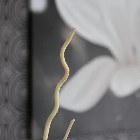 Rainbow 3 Club Napospart